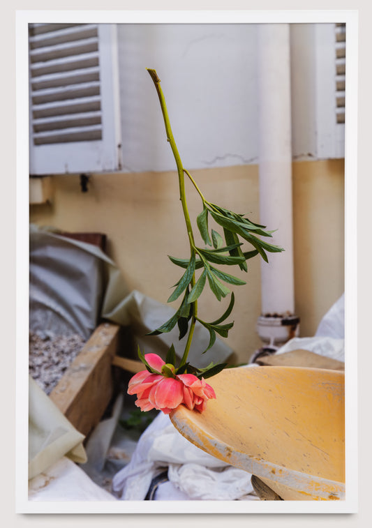 Samuel Roy-Bois, Good Luck (wheelbarrow), 2023